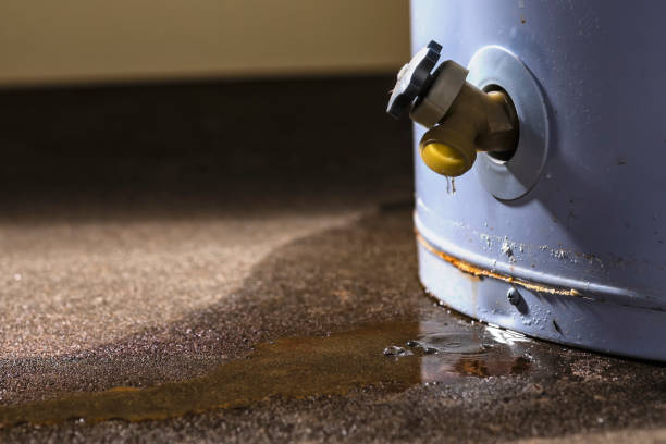 Best Ceiling water damage repair  in Shrewsbury, MO