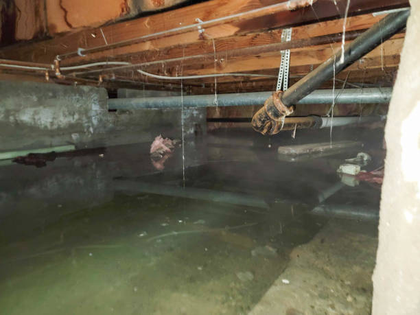 Best Emergency water damage restoration  in Shrewsbury, MO