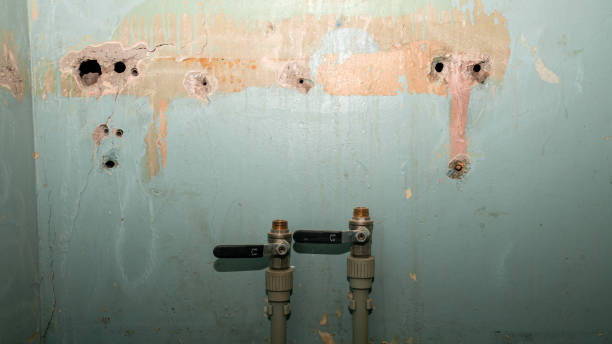 Best 24-hour water damage restoration  in Shrewsbury, MO