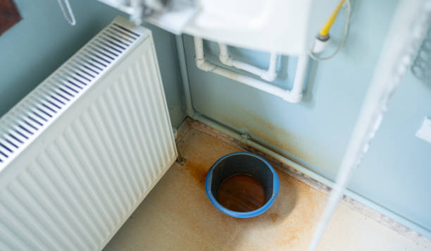 Best 24/7 water damage repair  in Shrewsbury, MO