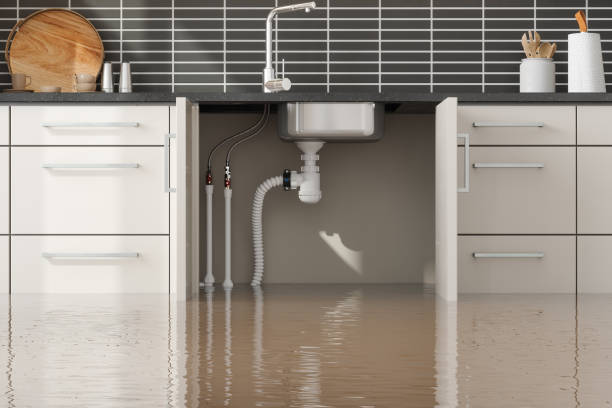 Best Local water damage restoration  in Shrewsbury, MO