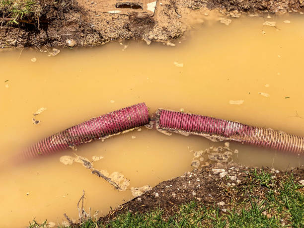 Best Water damage restoration near me  in Shrewsbury, MO